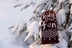 Kallt Som Fan! - Mönster Till Vantar